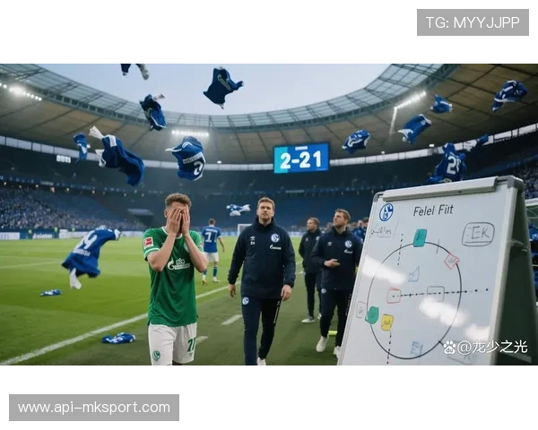 中国球员李磊迎德乙首发亮相沙尔克后防稳健展现实力